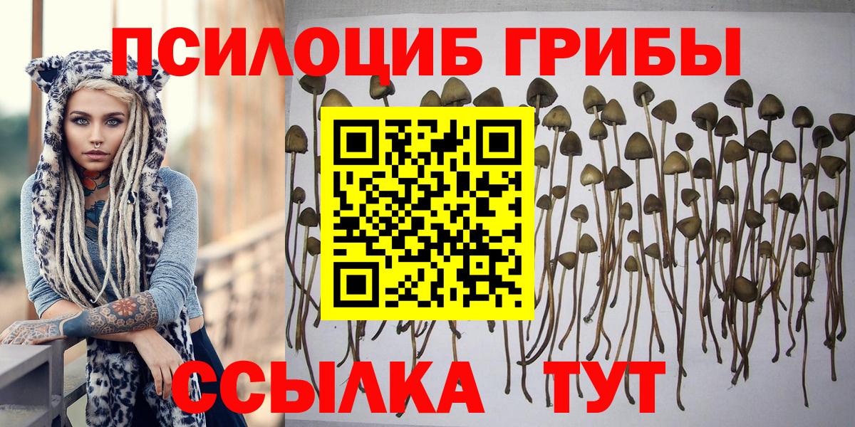Псилоцибиновые грибы Magic Shrooms Красногорск