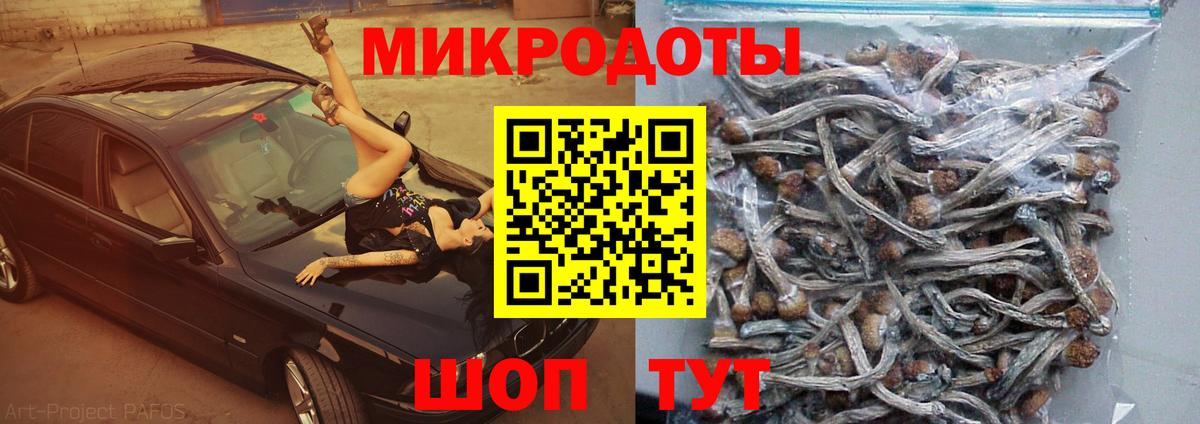 Красногорск  Псилоцибиновые грибы GOLDEN TEACHER  Галлюциногенные грибы Magic Shrooms  Вход с VPN 