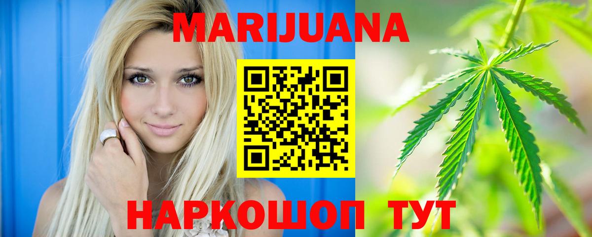 Канабис сатива Красногорск